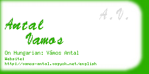 antal vamos business card